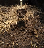 Vereador pede fiscalização sobre uso irregular de adubo em área próxima ao Portal do Parque