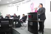 Vereador requer informações sobre retomada e término dos serviços de recapeamento em dois bairros