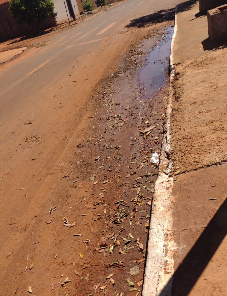 Vereadora cobra soluções para acúmulo de água em ruas de Nova Casa Verde