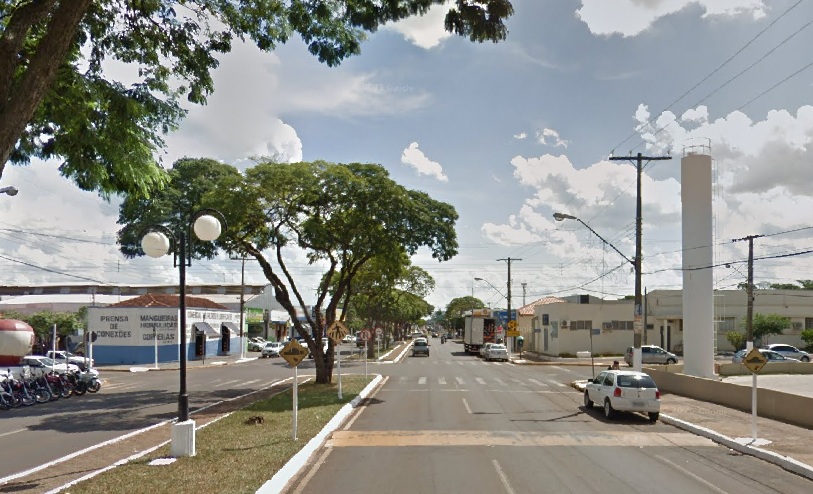 Vereadora defende diagnóstico e renovação da arborização em canteiros centrais