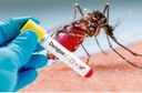 Vereadora defende mapeamento dos casos de dengue para definir estratégias de combate à doença