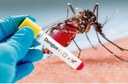 Vereadora defende mapeamento dos casos de dengue para definir estratégias de combate à doença Vereadora defende mapeamento dos casos de dengue para definir estratégias de combate à doença