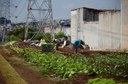Vereadora defende uso de terrenos urbanos desocupados para a produção de alimentos