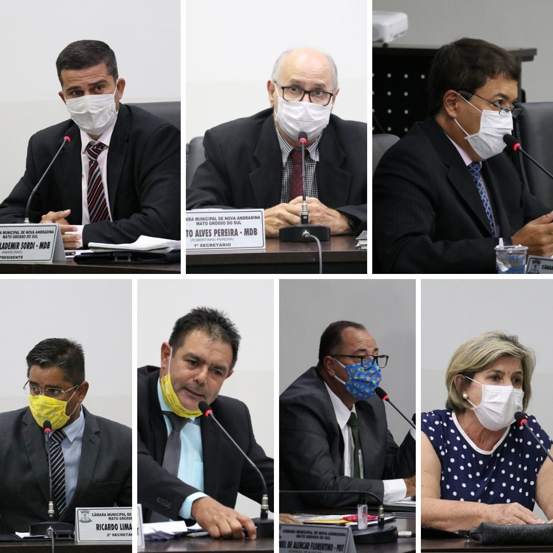 Vereadores indicam plantio de árvores em loteamentos de Nova Andradina