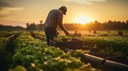 Vereadores oficializam pedidos de emendas parlamentares em benefício de agricultores familiares e instituições sociais