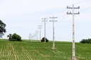 Vereadores solicitam melhorias na rede de distribuição de energia em assentamentos Vereadores solicitam melhorias na rede de distribuição de energia em assentamentos