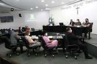 Vereadores sugerem Controle Integrado de Pragas e intervenções em rodovias 