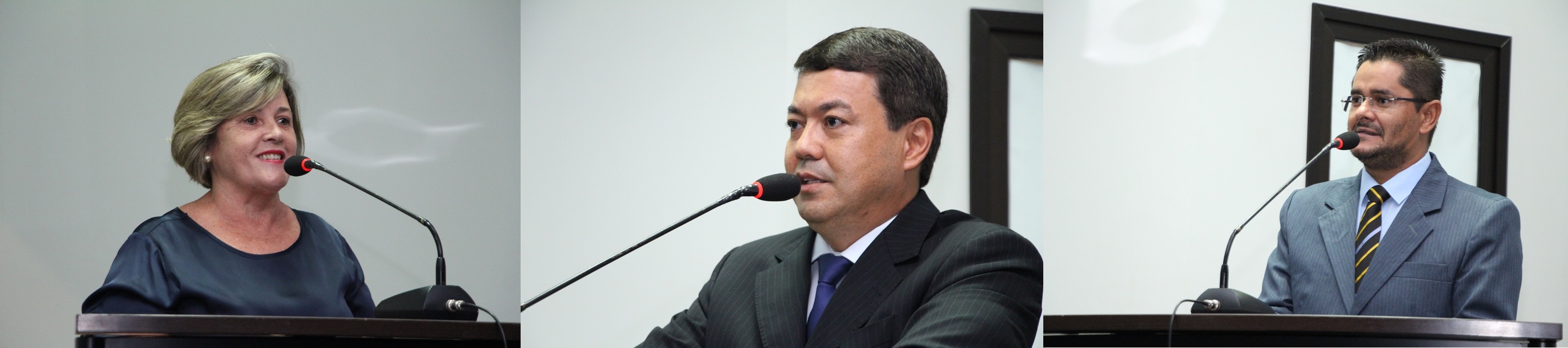 Vereadores sugerem plantio de flores para acabar com “déficit verde” 