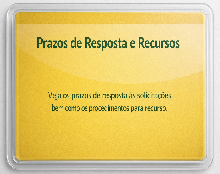 Prazos de Resposta e Recursos